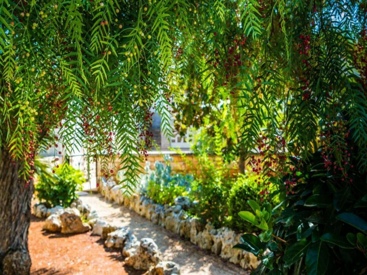 Holiday house Holiday Home in Apulia with Pool and Terrace - Outdoor photo 2