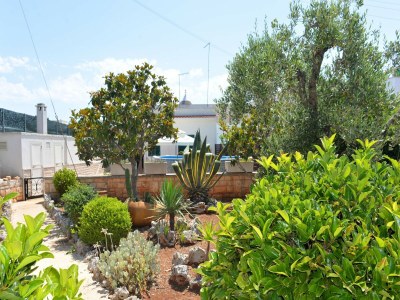 Holiday house Holiday Home in Apulia with Pool and Terrace - Outdoor photo 8