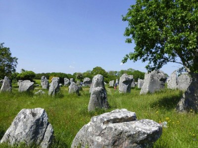 Holiday house Ferienhaus am Strand des Golfs von Morbihan - Environment photo 21