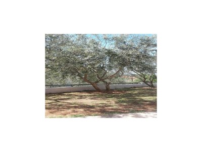 Apartment Apartments Smilje i Maslina - One Bedroom Apartment with Terrace 1 - Outdoor photo 7