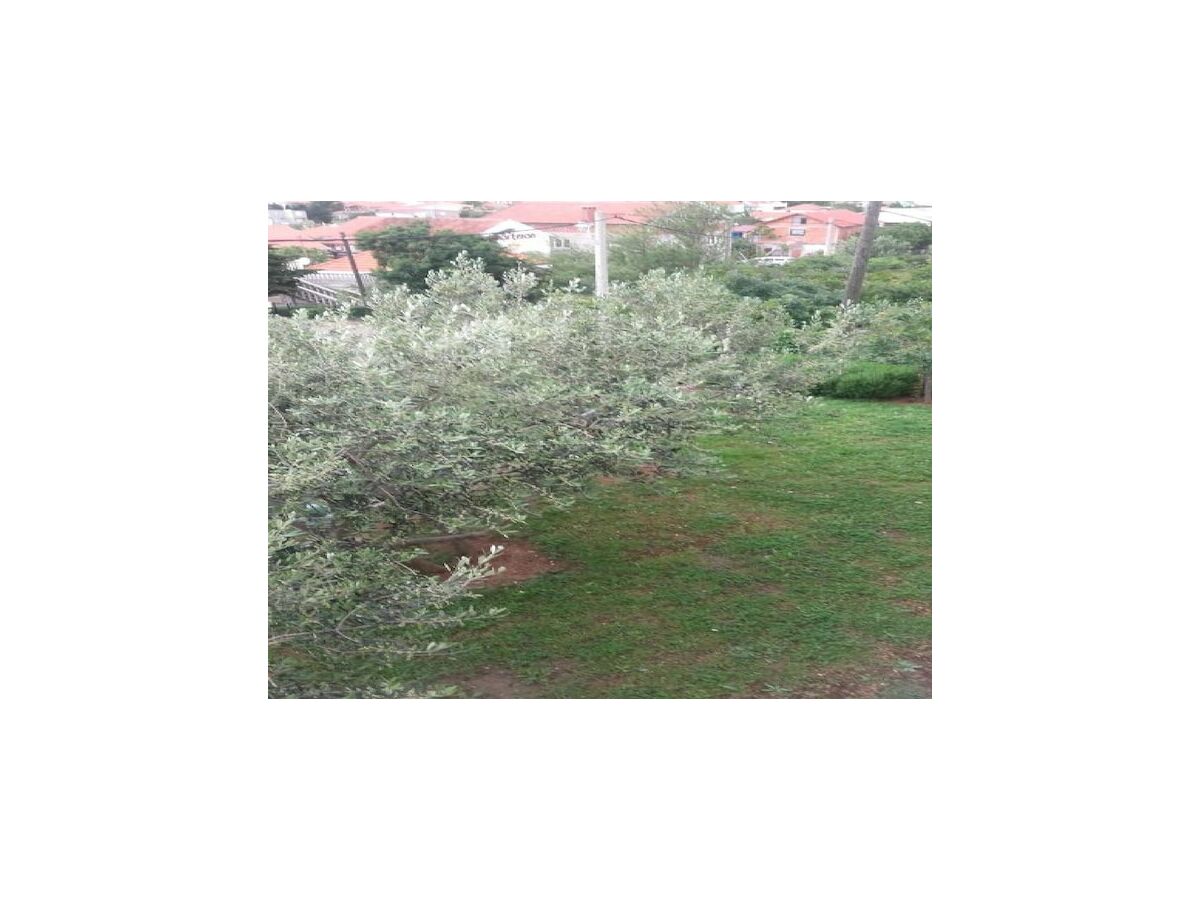 Apartment Apartments Smilje i Maslina - One Bedroom Apartment with Terrace 2 - Outdoor photo 4