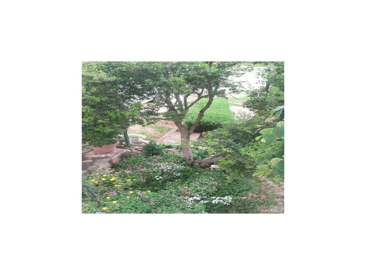 Apartment Apartments Smilje i Maslina - One Bedroom Apartment with Terrace 2 - Outdoor photo 5