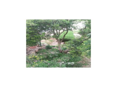 Apartment Apartments Smilje i Maslina - One Bedroom Apartment with Terrace 2 - Outdoor photo 5