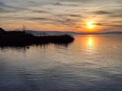 Bungalow Hallschlag Lakeside Hideaway - Environment photo 32