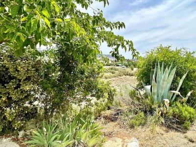 cave dwelling Cave House in Cúllar near Tabernas Desert - Outdoor photo 7