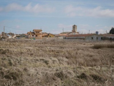 cave dwelling Cave House in Cúllar near Tabernas Desert - Environment photo 33