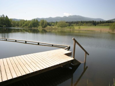 Holiday house Ferienhaus in Kaernten nahe Woerthersee - Environment photo 27