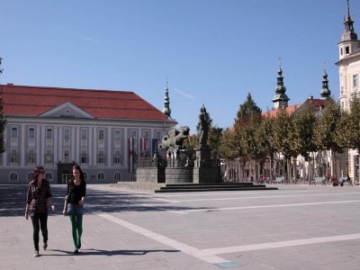 Holiday house Ferienhaus in Kaernten nahe Woerthersee - Environment photo 28