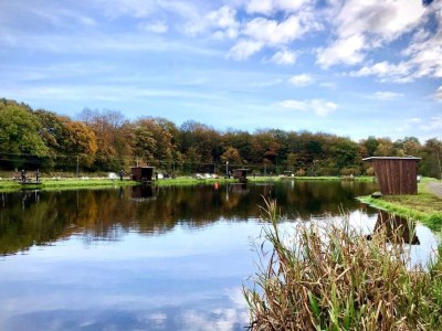 Holiday house 4 person holiday home in Hovborg-By Traum - Outdoor photo 34