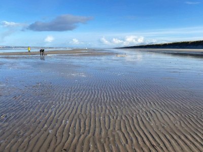 Holiday house 2 Personen Ferienhaus in Vejers Strand-By Traum - Outdoor photo 14