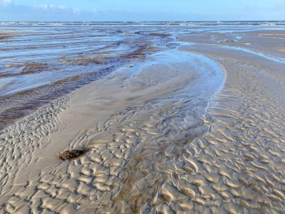 Holiday house 2 Personen Ferienhaus in Vejers Strand-By Traum - Outdoor photo 19