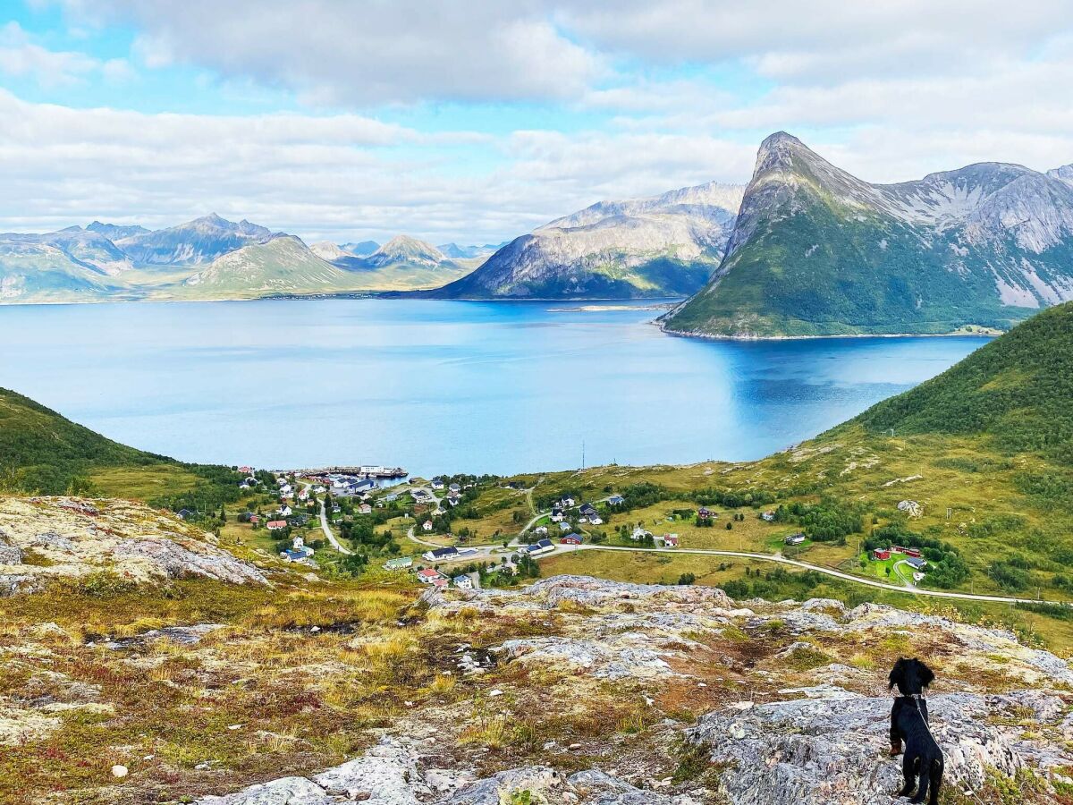 Holiday house 4 person holiday home in Stonglandseidet-By Traum - Outdoor photo 3