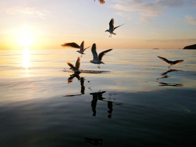 Holiday house 4 person holiday home in Stonglandseidet-By Traum - Outdoor photo 24