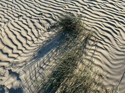 Holiday house 6 Personen Ferienhaus in Fanø-By Traum - Outdoor photo 31
