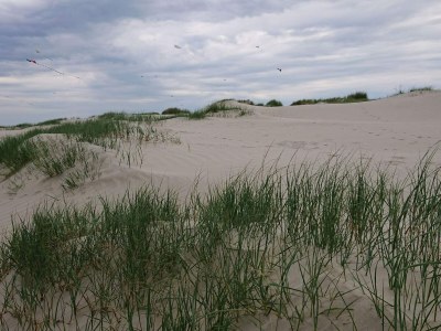 Holiday house 6 Personen Ferienhaus in Fanø-By Traum - Outdoor photo 35