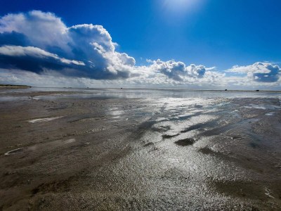 Holiday house 6 Personen Ferienhaus in Fanø-By Traum - Outdoor photo 37