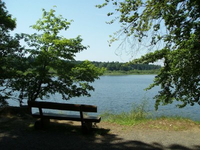 Apartment Wohnung mit Terrasse im Garten - Environment photo 21