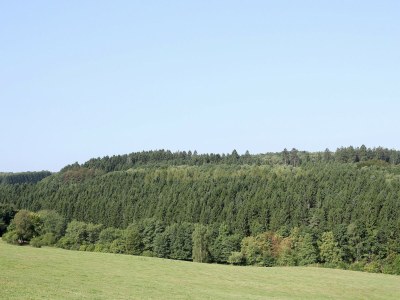 Apartment Wohnung mit Terrasse im Garten - Environment photo 27
