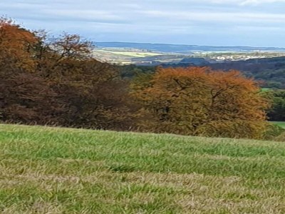 Apartment Wohnung mit Terrasse im Garten - Environment photo 28