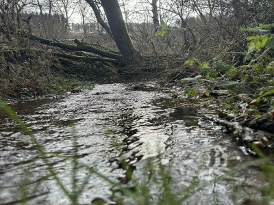 Apartment Gemütliche Wohnung bei Winterberg mit Terrasse - Environment photo 11