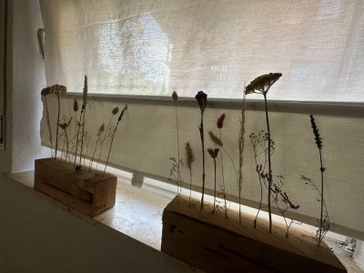 Apartment Gemütliche Wohnung bei Winterberg mit Terrasse - Outdoor photo 12