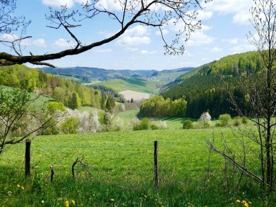 Apartment Ferienwohnung in Skigebietnähe mit Terrasse - Environment photo 22
