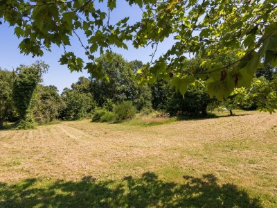 Holiday park Hütte in Chaleix nahe Wald und See - Outdoor photo 4
