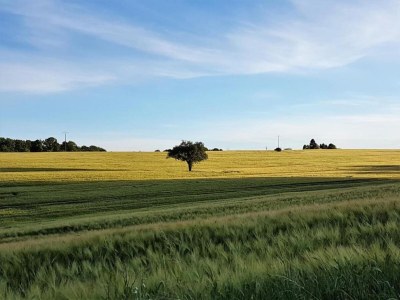 Holiday park Hütte in Chaleix nahe Wald und See - Environment photo 31