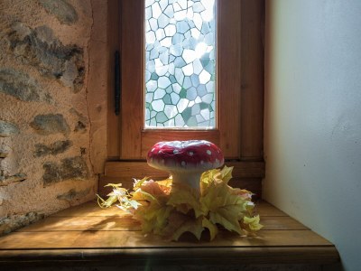 Holiday park Hütte in Chaleix nahe Wald und See - Outdoor photo 40