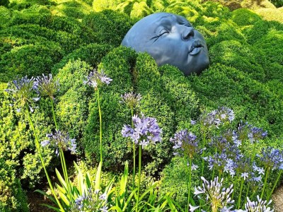 Holiday house Gîte in Etretat nahe Klippen & Strand - Environment photo 16