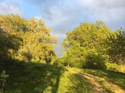 Holiday park Cottage in Chaleix near Forest and Lake - Environment photo 31