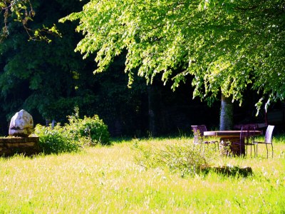 Holiday park Schlosswohnung in Chaleix am Wald - Outdoor photo 5