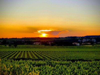 Holiday house Holiday Home in Le Thor with Private Pool - Environment photo 35