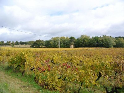 Holiday house Holiday Home in Le Thor with Private Pool - Environment photo 36