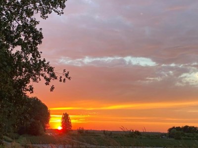 Holiday house Luxuriöser Aufenthalt mit Sauna und Garten - Environment photo 27