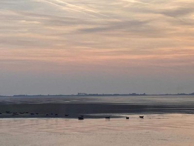 Holiday house Luxuriöser Aufenthalt mit Sauna und Garten - Environment photo 32