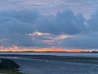 Holiday house Luxuriöser Aufenthalt mit Sauna und Garten - Environment photo 35