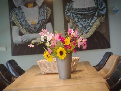 Holiday house Villa in Colijnsplaat mit Pool & Sauna - Features photo 9