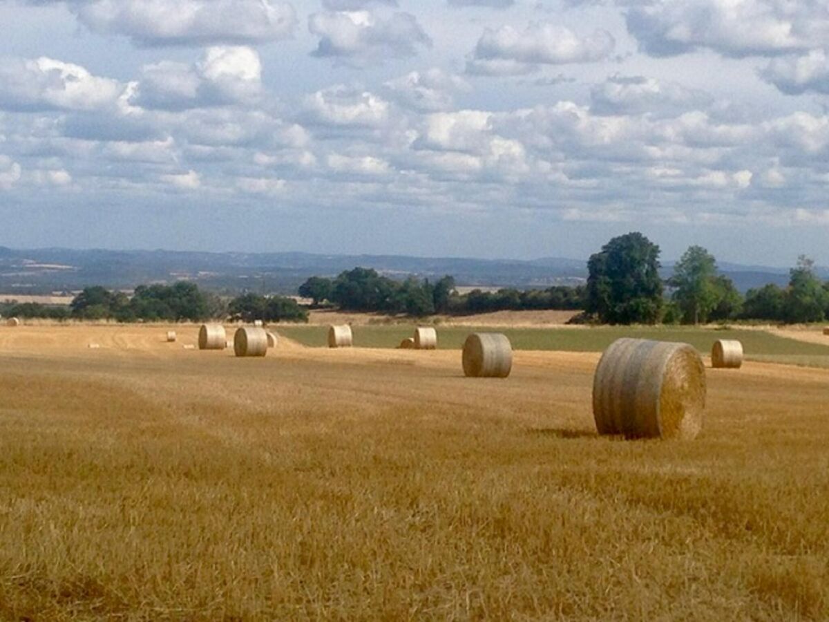 Holiday house Authentic country house in Tannay with garden - Outdoor photo 2