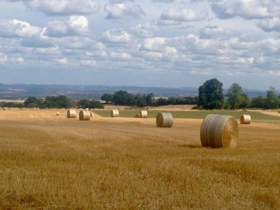 Holiday house Authentic country house in Tannay with garden - Outdoor photo 2