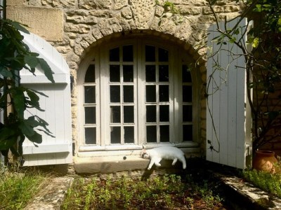 Holiday house Authentic country house in Tannay with garden - Features photo 13