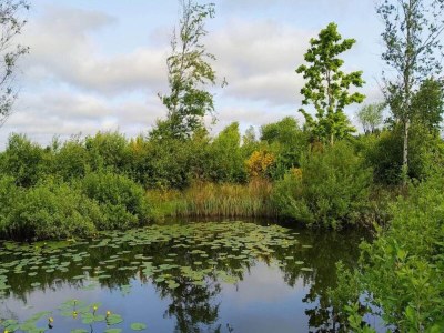 Holiday house 6 person holiday home in Oksbøl-By Traum - Outdoor photo 3