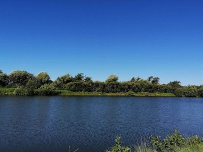 Holiday house 6 person holiday home in Oksbøl-By Traum - Outdoor photo 28