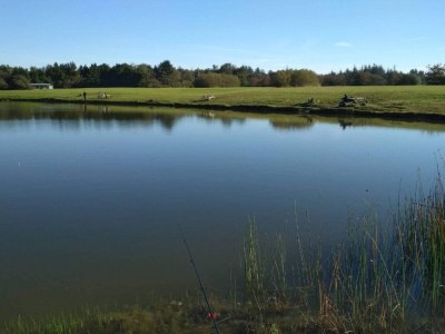 Holiday house 6 person holiday home in Oksbøl-By Traum - Outdoor photo 30