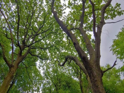 Holiday house 6 person holiday home in Oksbøl-By Traum - Outdoor photo 34