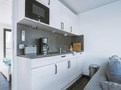 House boat Hausboot Junior am Geiseltalsee, Braunsbreda - Features photo 7