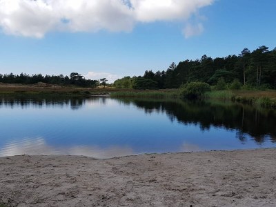 Holiday house Luxury Villa with Pool - By Traum Ferienwohnungen - Outdoor photo 12