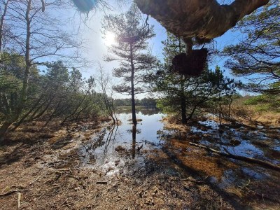 Holiday house Luxury Villa with Pool - By Traum Ferienwohnungen - Outdoor photo 13