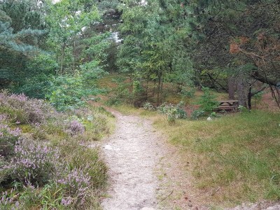 Holiday house Luxury Villa with Pool - By Traum Ferienwohnungen - Outdoor photo 14