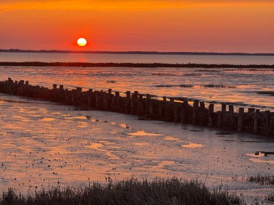 Holiday house Luxury Villa with Pool - By Traum Ferienwohnungen - Outdoor photo 44